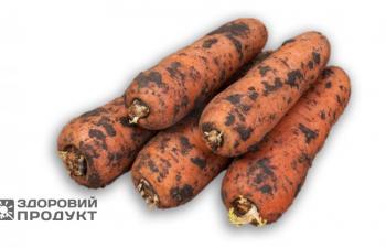 Морковка весовая с доставкой
