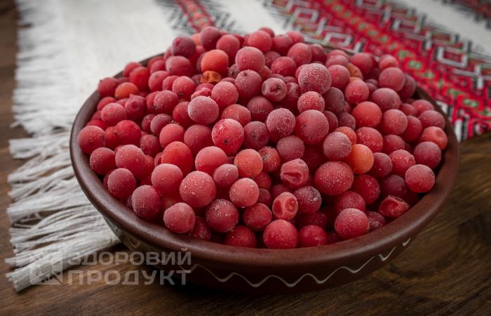 Frozen viburnum, Ukraine